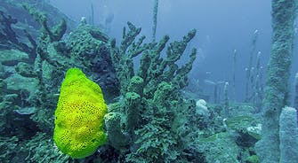 Hotel Punta Faro: Actividades