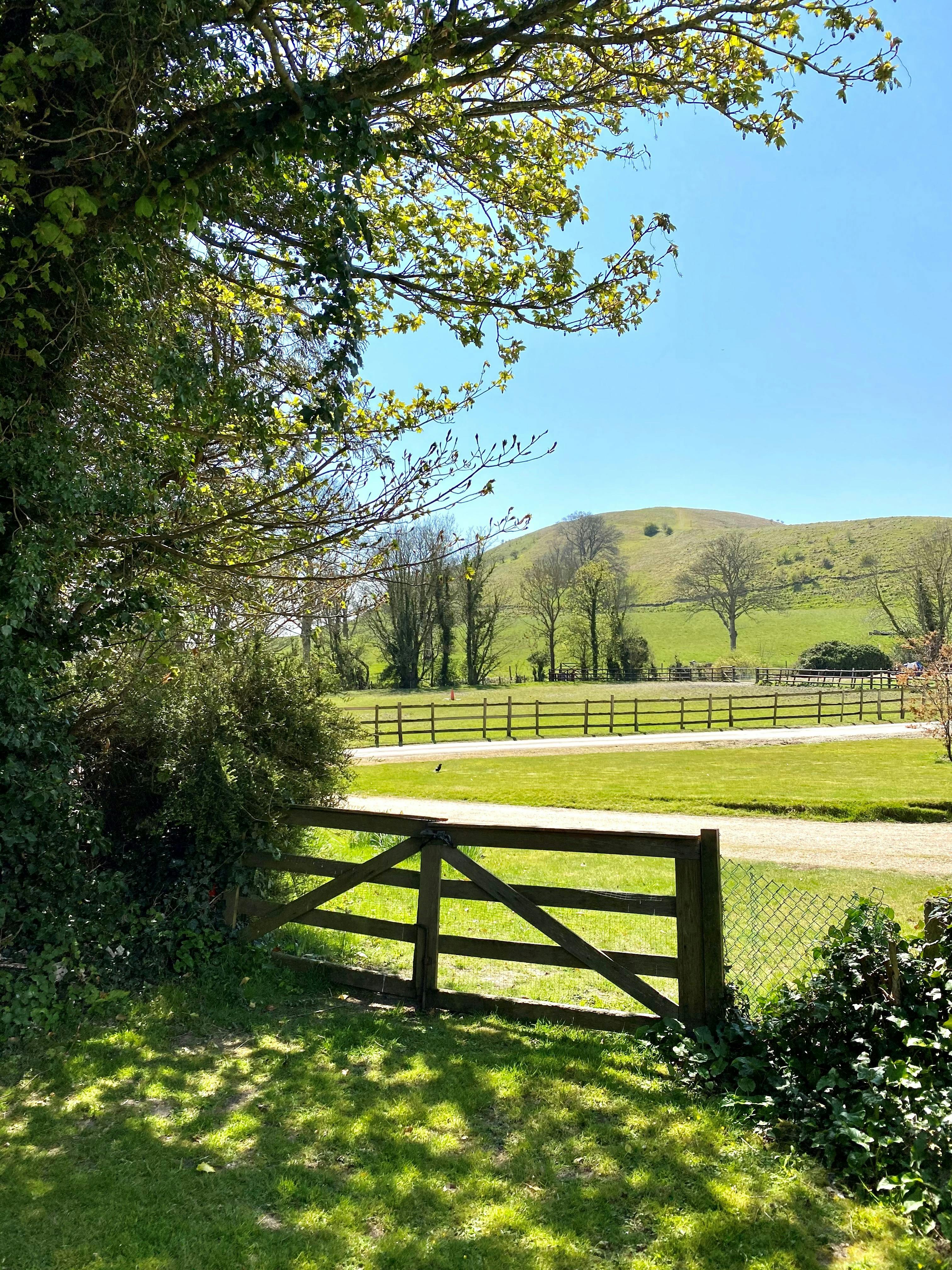 Summerhouse Hill from the paddock