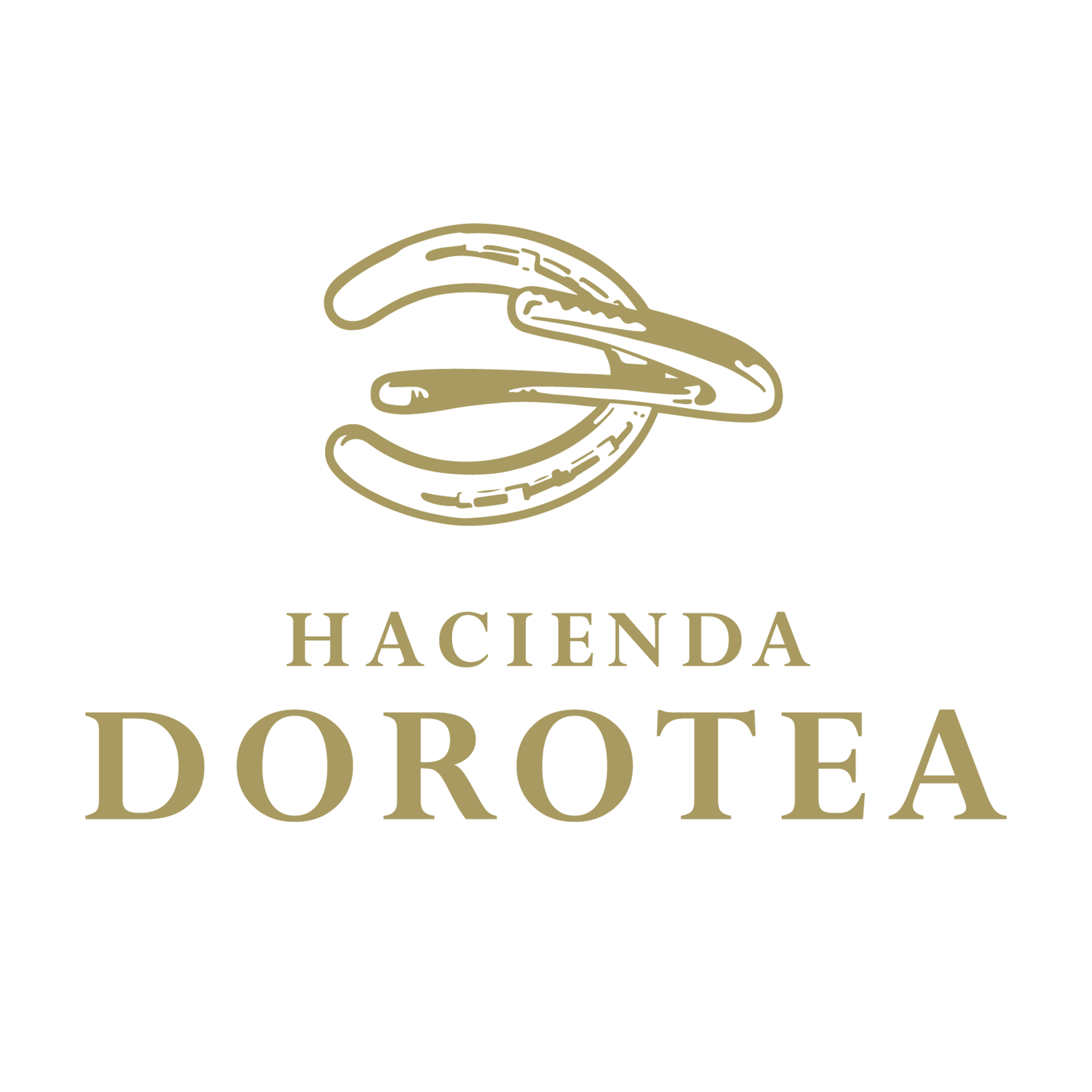 Hacienda Dorotea
