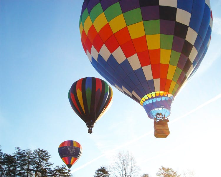 18 Vine Inn and Carriage House Special Deals & Packages - Hot Air Balloon Ride