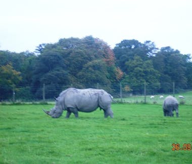 chester zoo