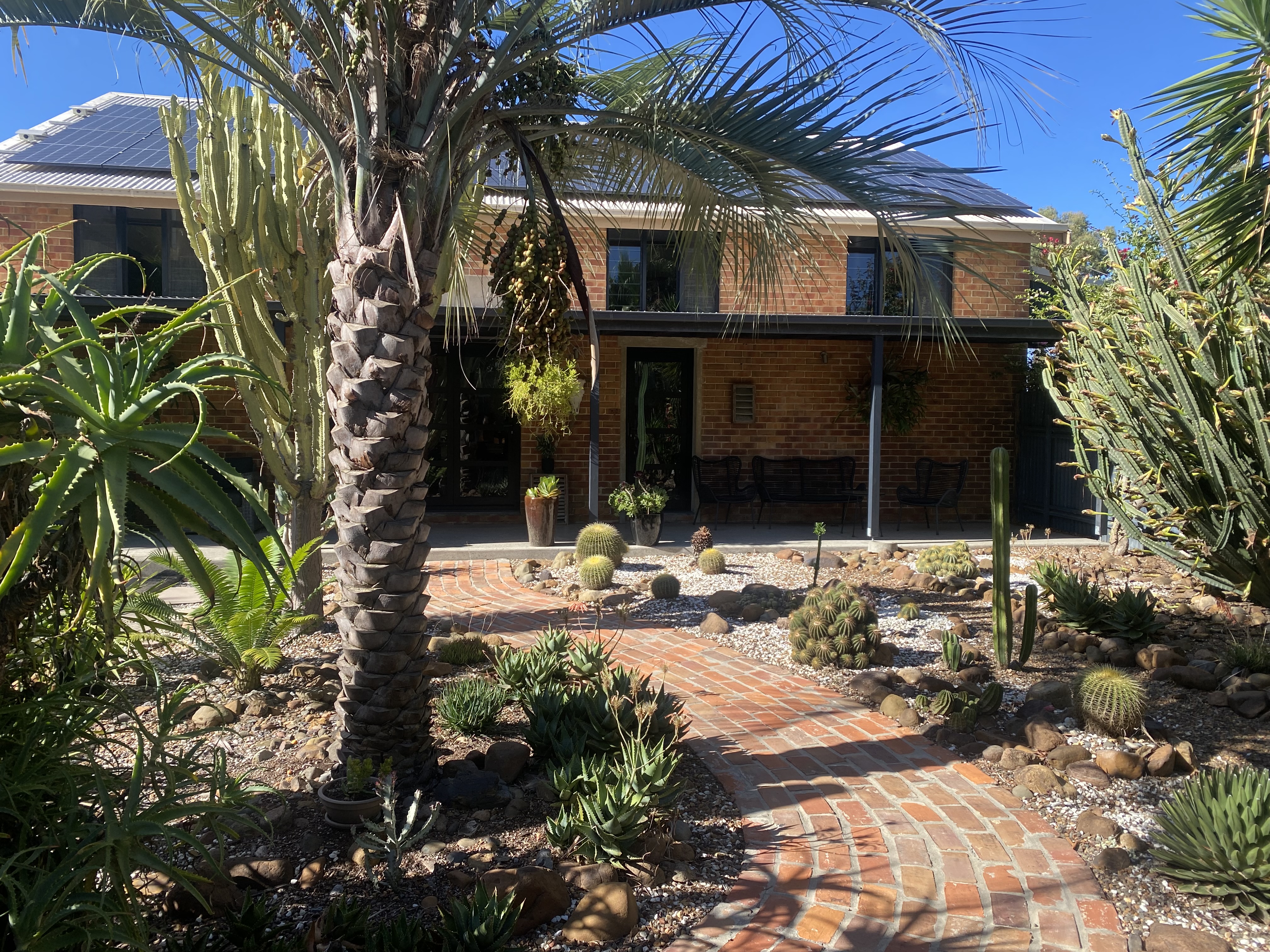 Outside cactus garden