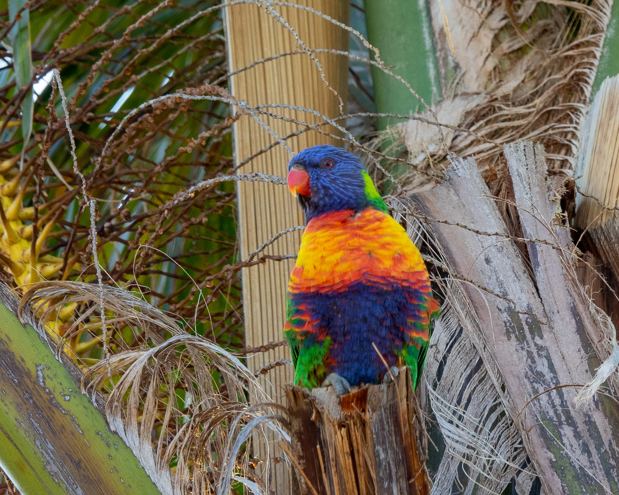 Yorke Peninsula accommodation, Port Vincent accommodation, Port Vincent Cabins