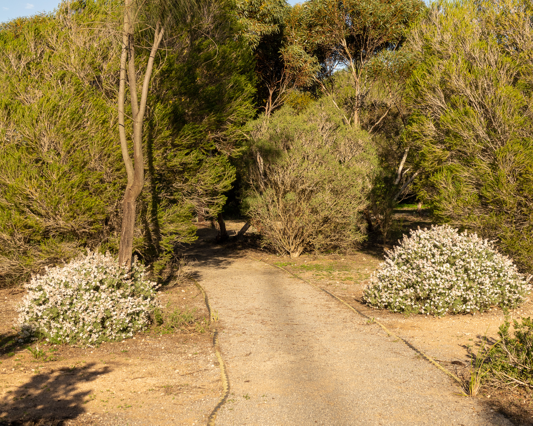 Yorke Peninsula accommodation, Port Vincent accommodation, Port Vincent Cabins