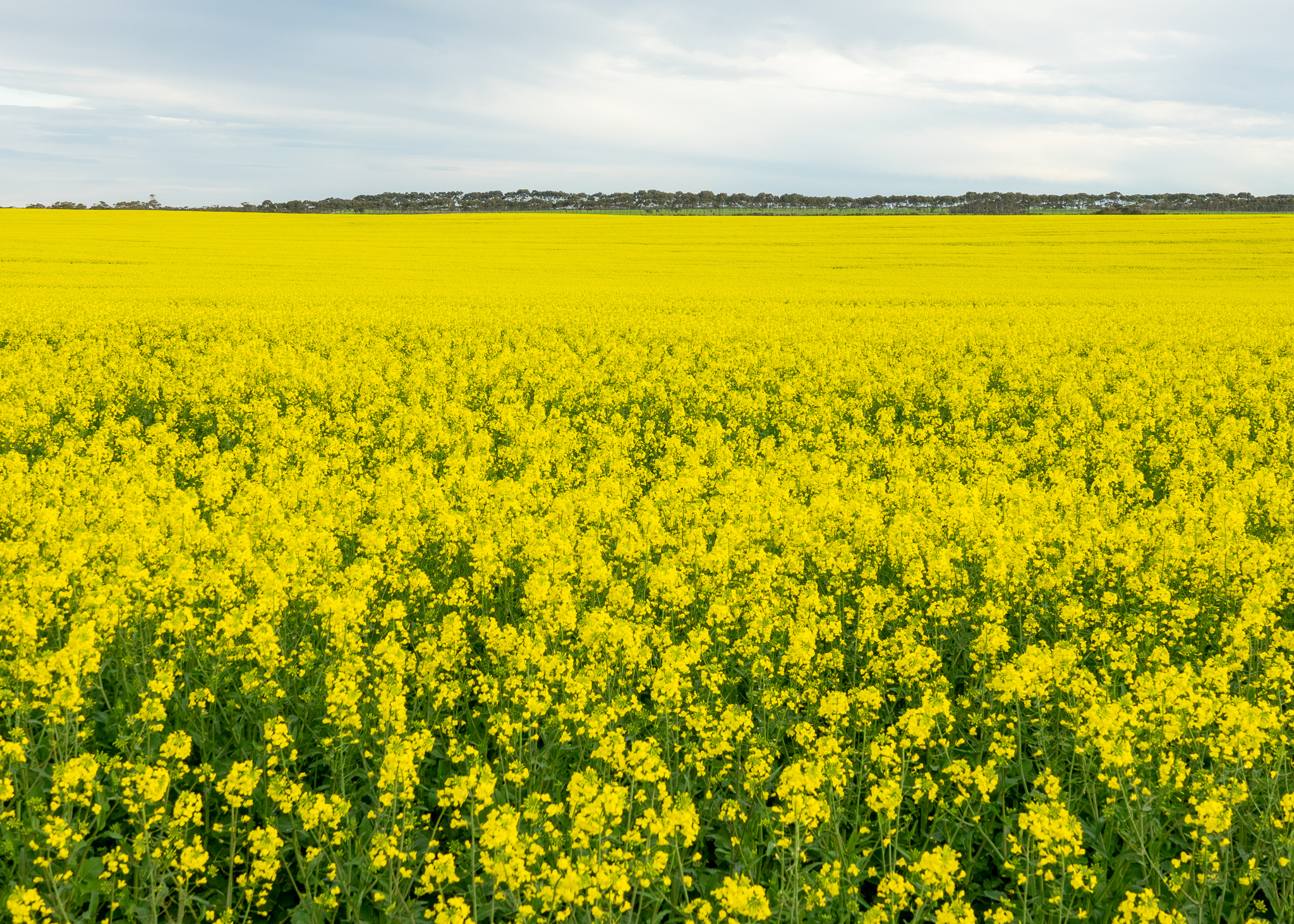 Yorke Peninsula accommodation, Port Vincent accommodation, Port Vincent Cabins