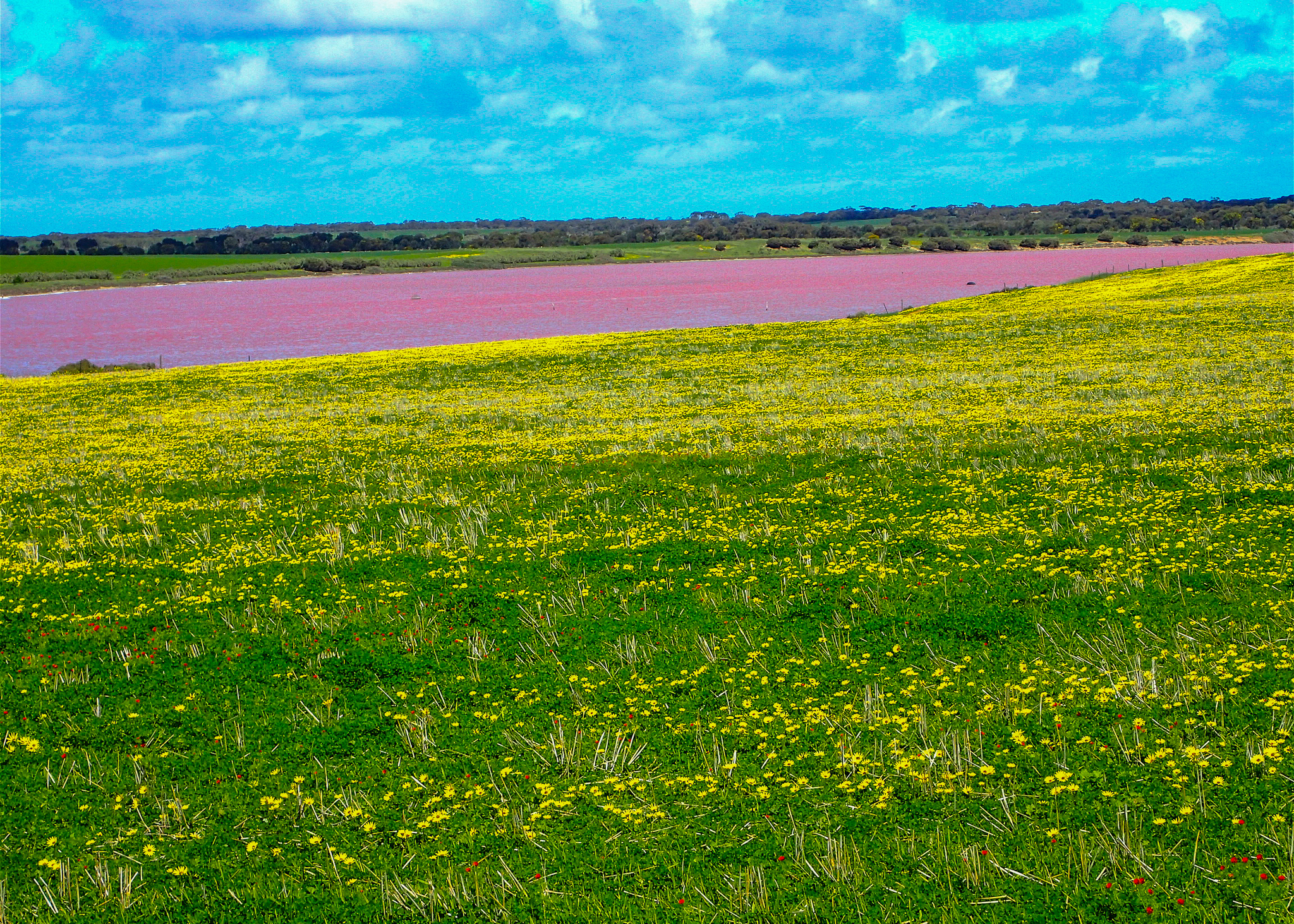Yorke Peninsula accommodation, Port Vincent accommodation, Port Vincent Cabins