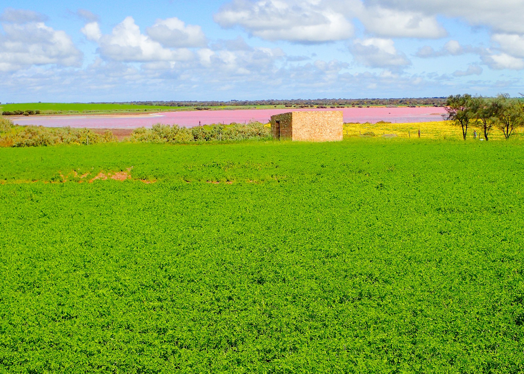 Yorke Peninsula accommodation, Port Vincent accommodation, Port Vincent Cabins