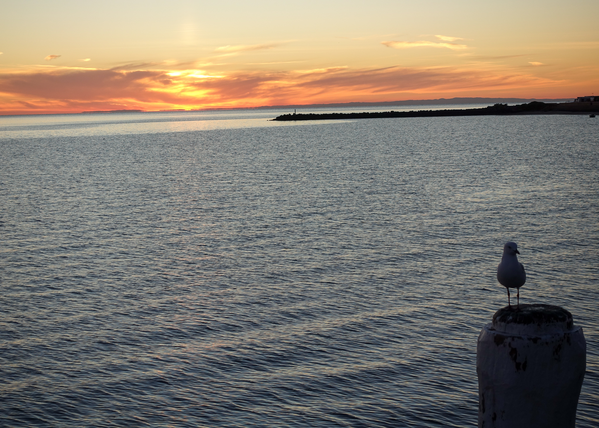 Yorke Peninsula accommodation, Port Vincent accommodation, Port Vincent Cabins
