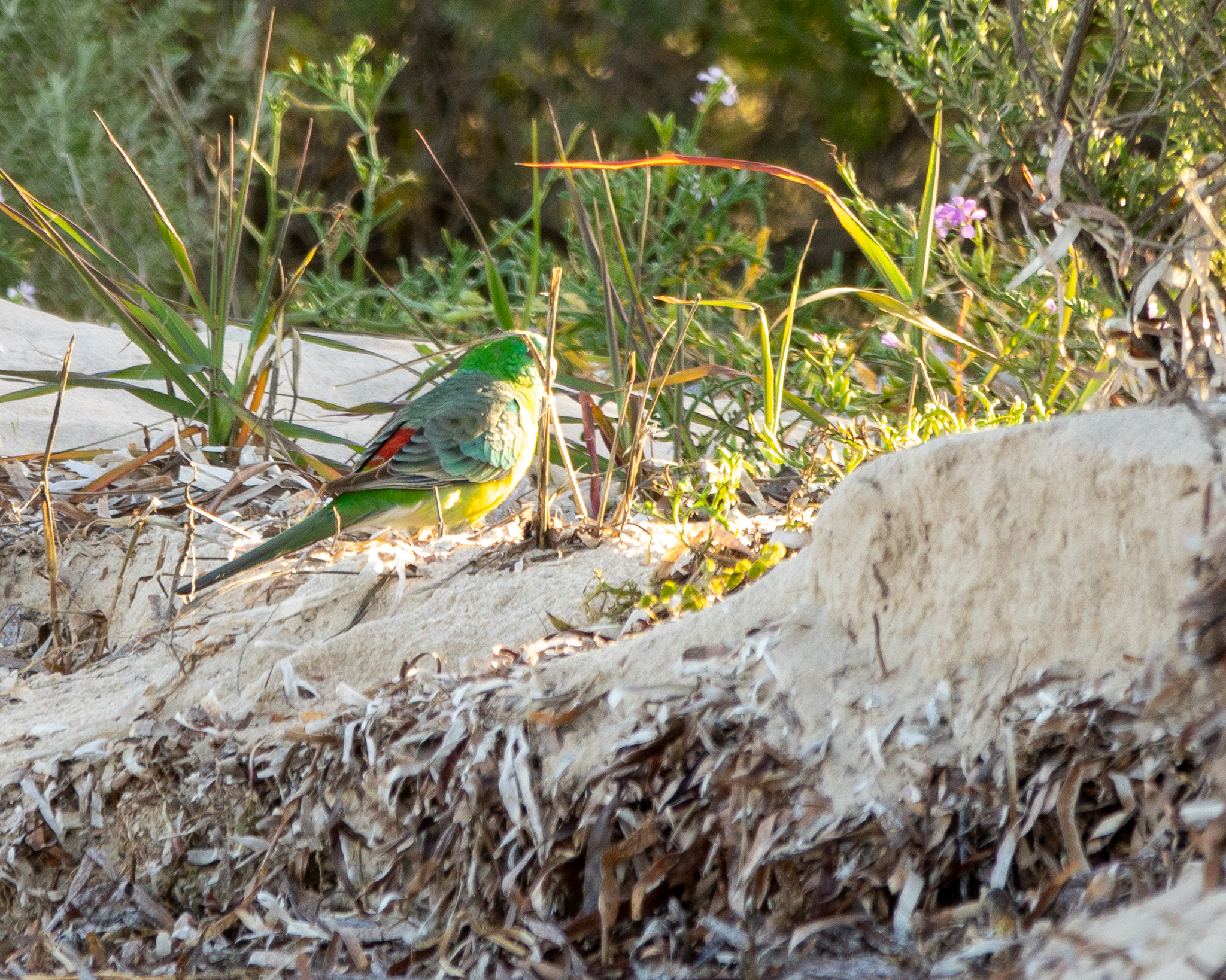 Yorke Peninsula accommodation, Port Vincent accommodation, Port Vincent Cabins