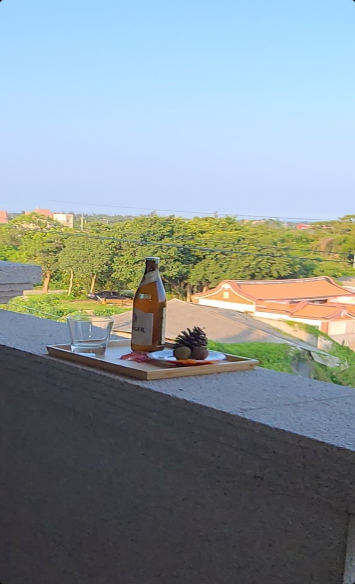 一大一小、三小、兒童