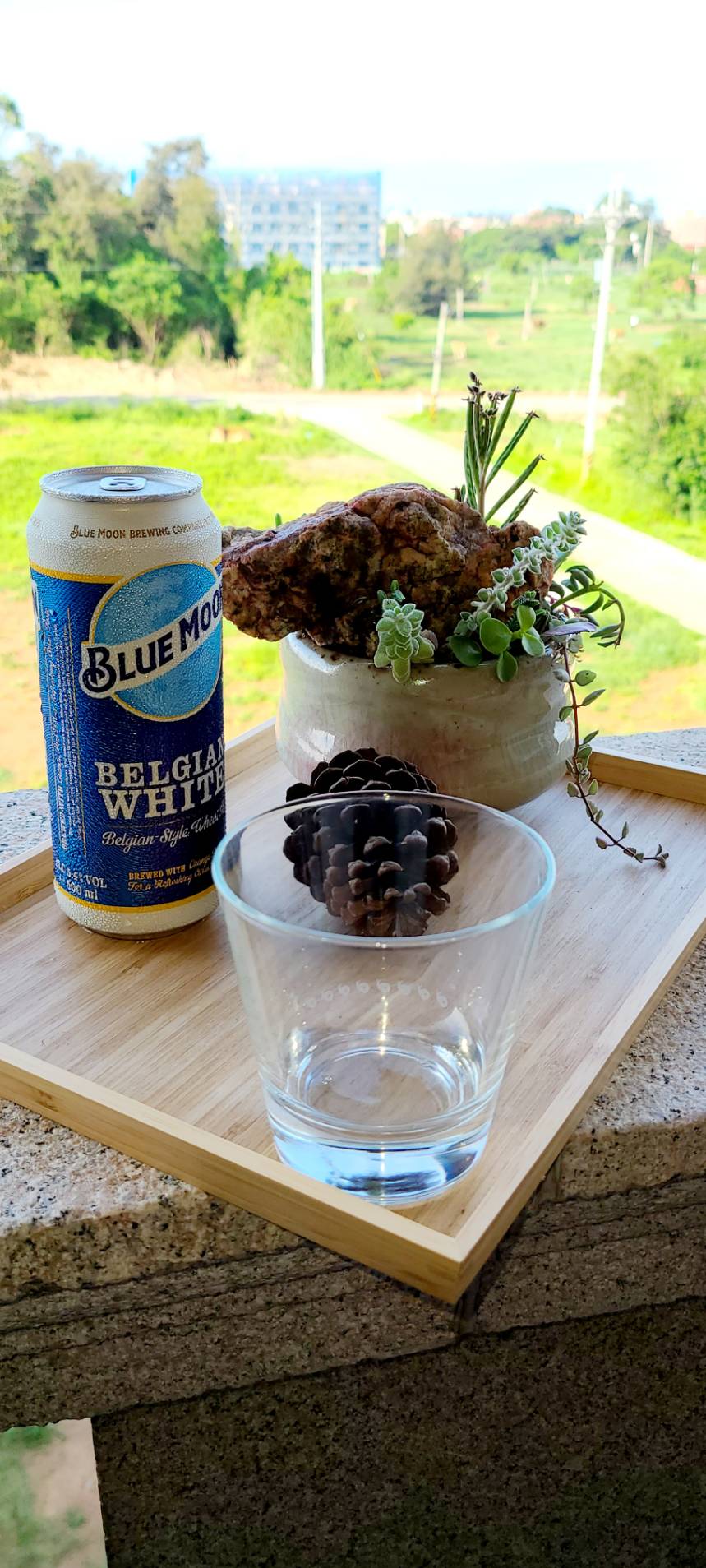 一大一小、三小、兒童