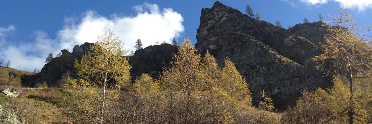 HotelDeGletscherGressoneyMonterosa