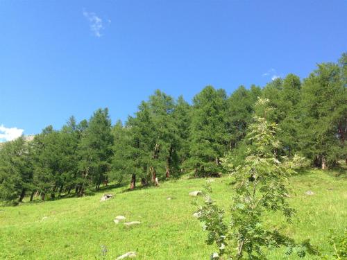 HotelDeGletscherGressoneyMonterosa