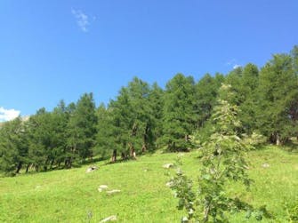 HotelDeGletscherGressoneyMonterosa