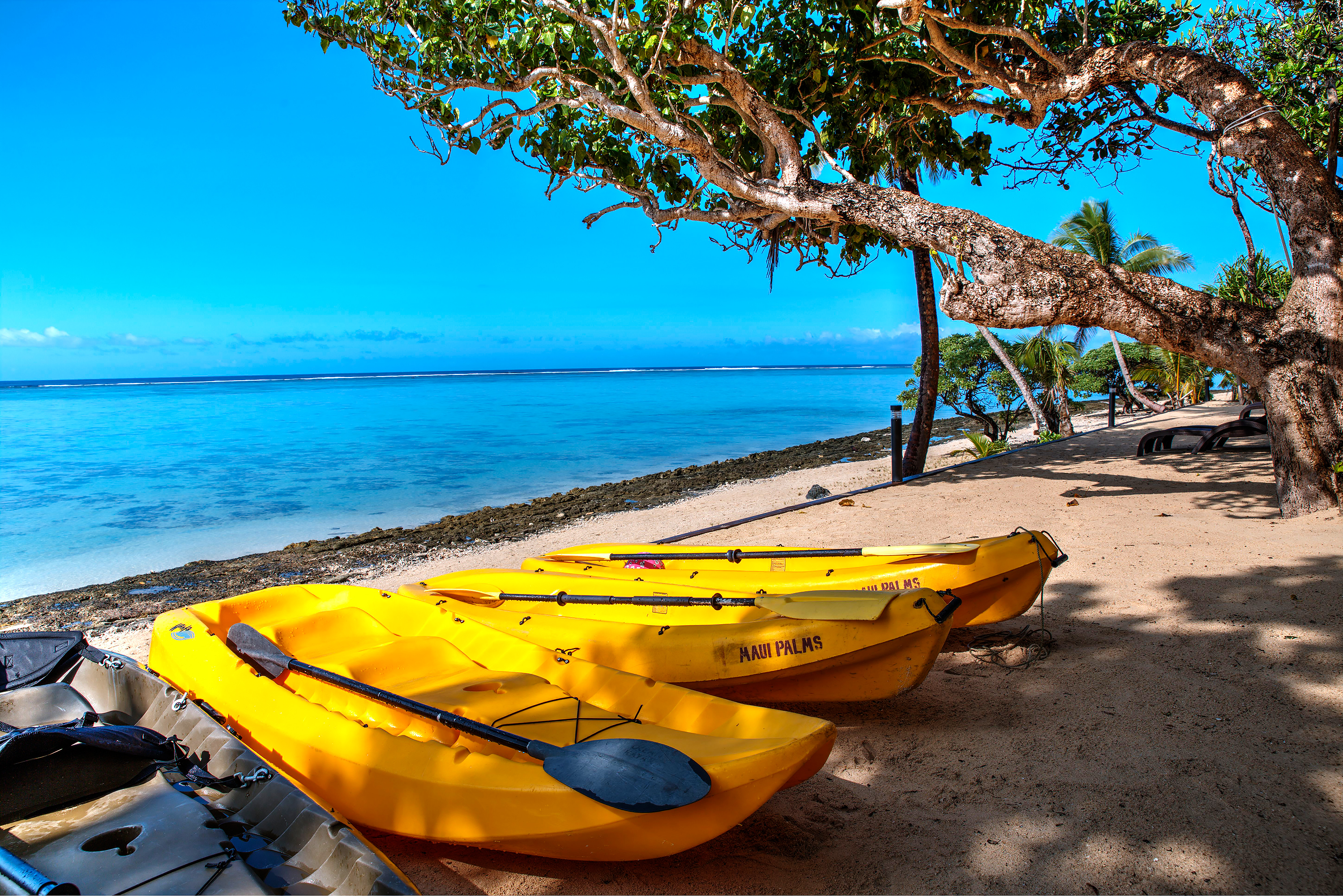 beachfront boutique hotel coral coast fiji ocean kayaking water sports