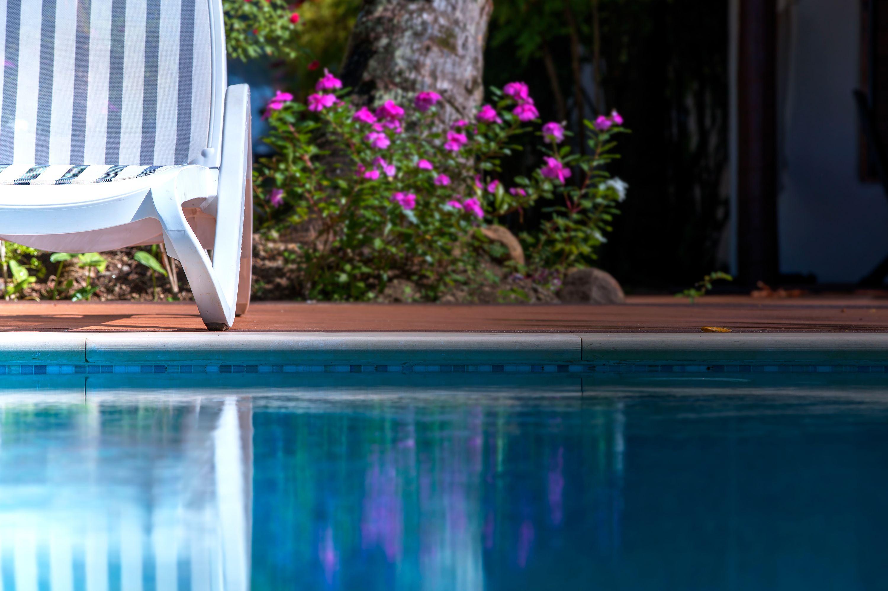 swimming pool infinity coral coast Fiji beachfront hotel