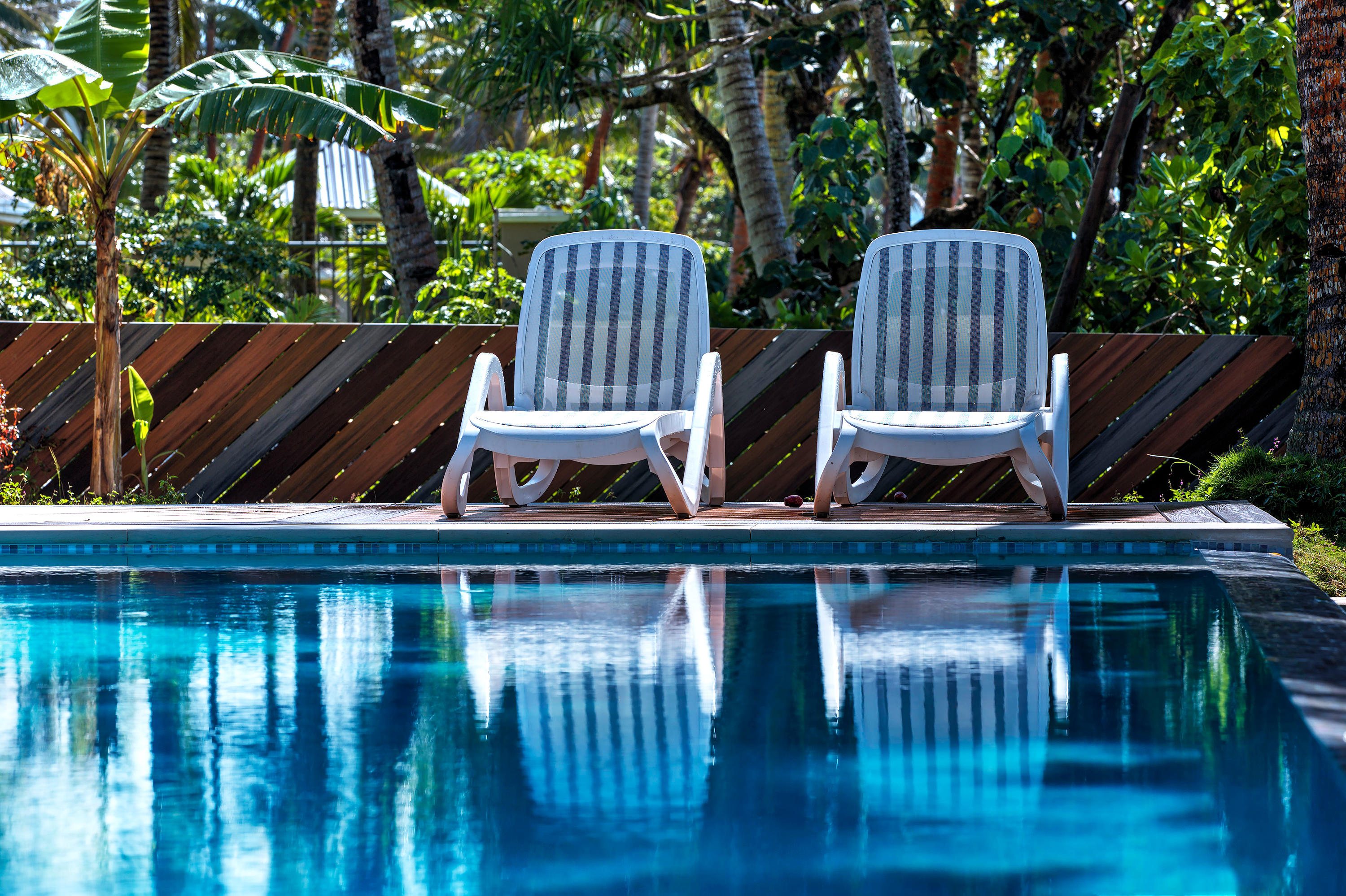 swimming pool infinity coral coast Fiji beachfront hotel