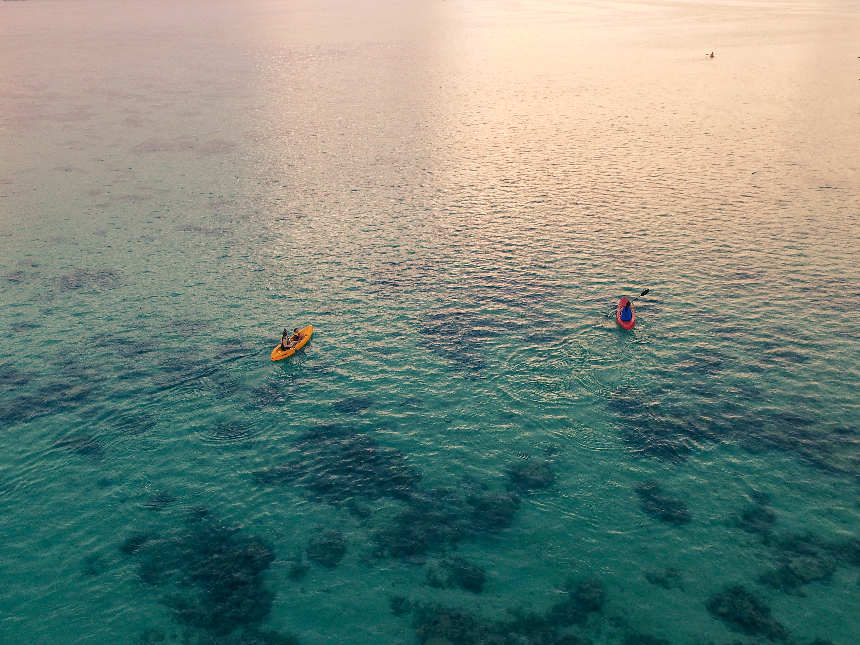 beachfront boutique hotel coral coast romantic couples escape