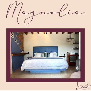 Página de inicio | Casa Acento