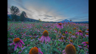 Home Trout Lake Valley Inn