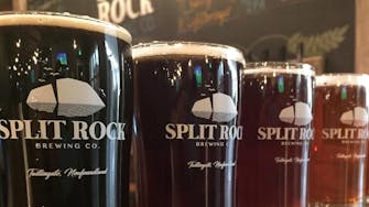 Split Rock Brewing Co - Stay & Stumble