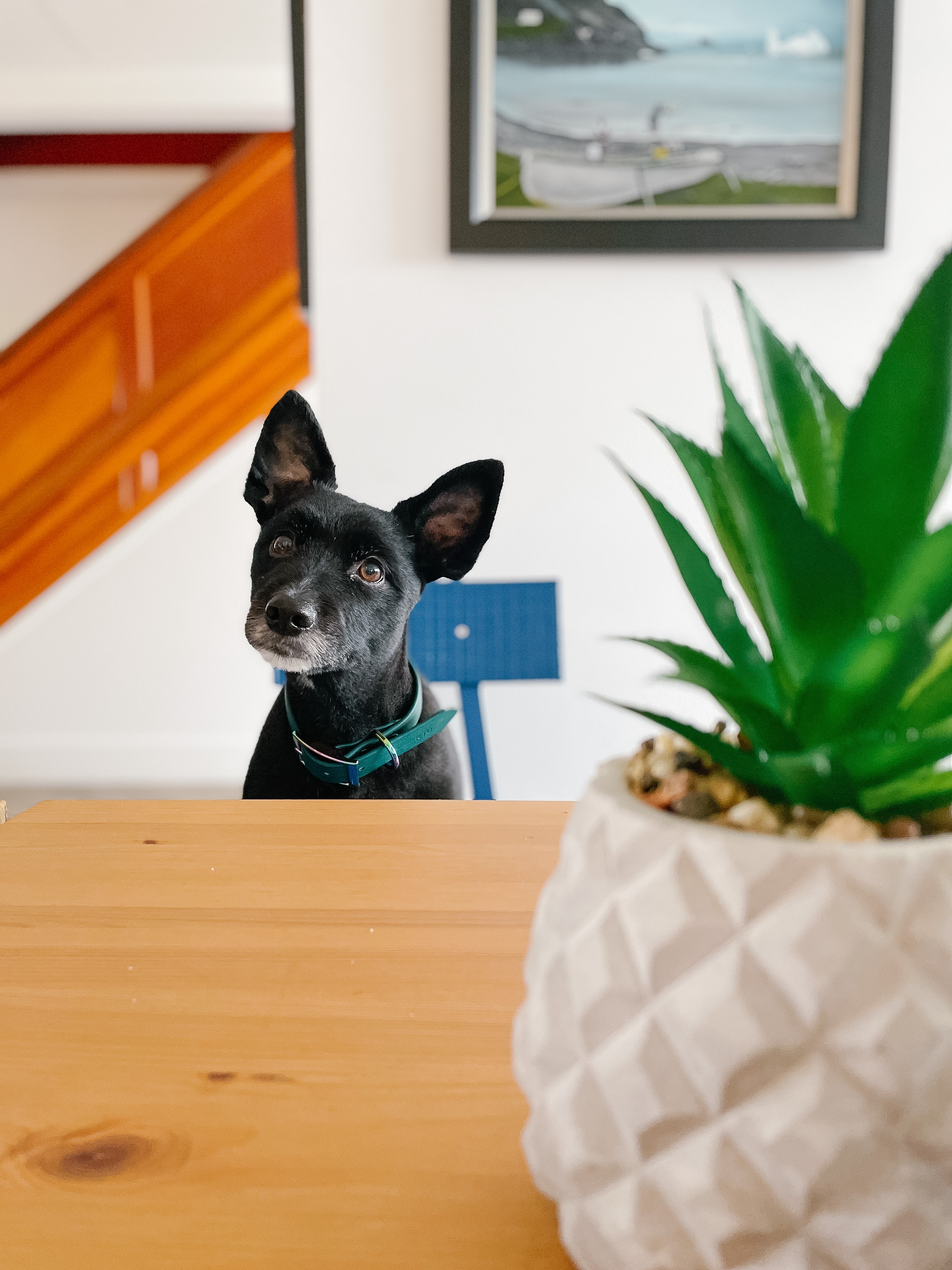 Oceanview Retreat | Twillingate & Beyond Inc. | Visit Twillingate | Hostel | Best Accommodation | Newfoundland | Pet Friendly