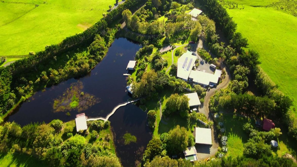 Ariel view of property