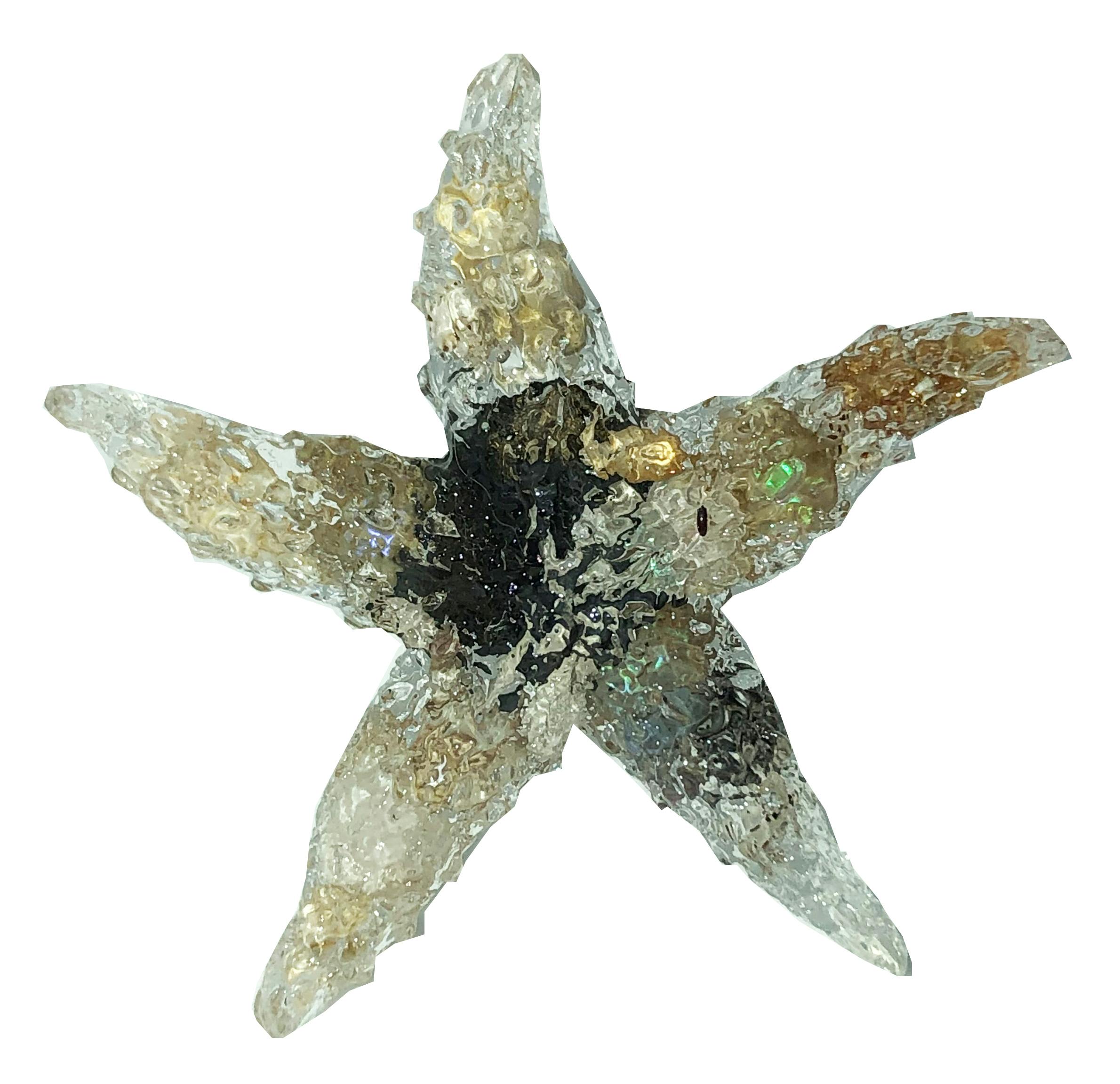 Resin Starfish magnet featuring local miniature shells.