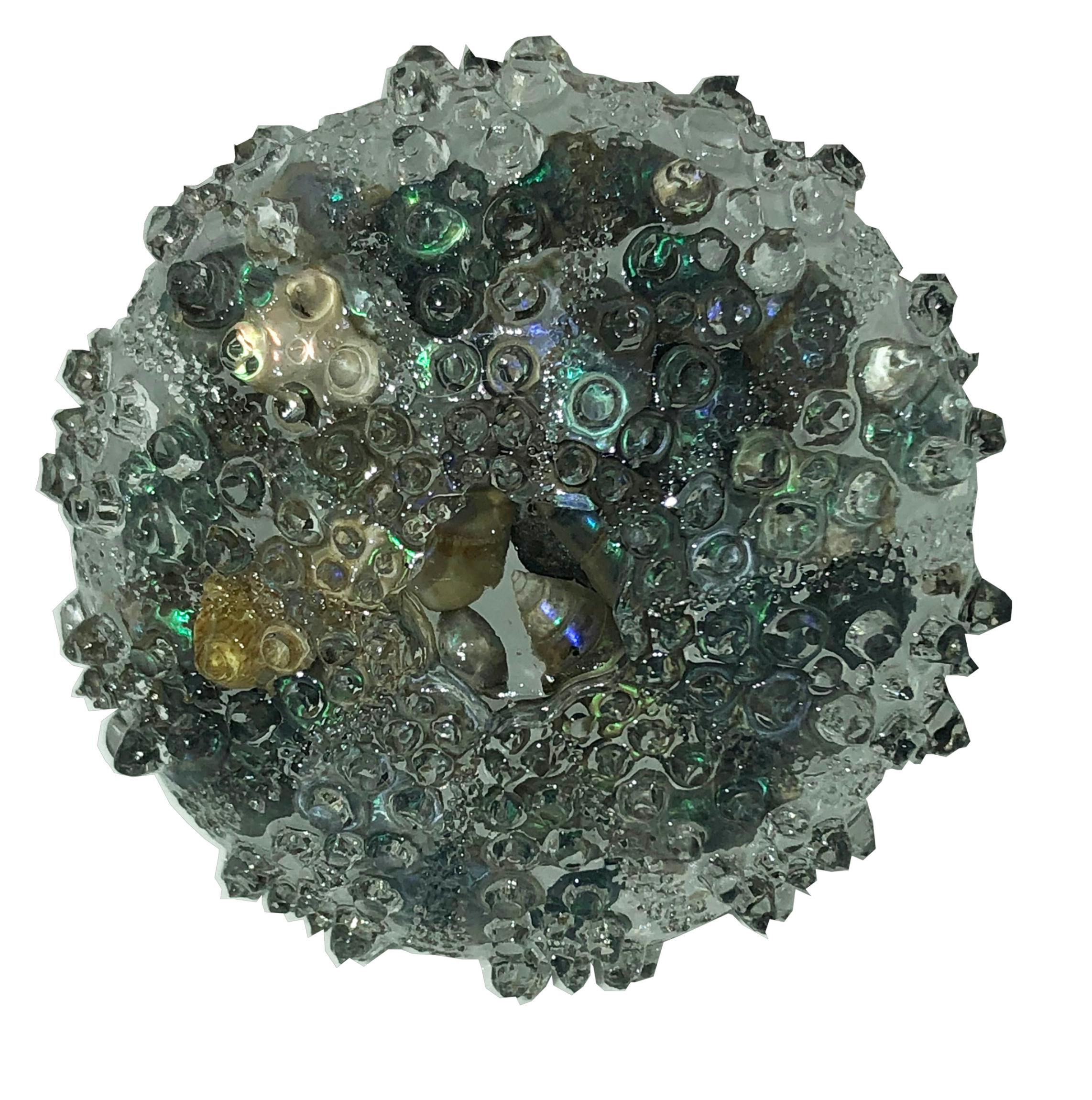 Resin Sea Urchin magnet featuring local miniature shells.