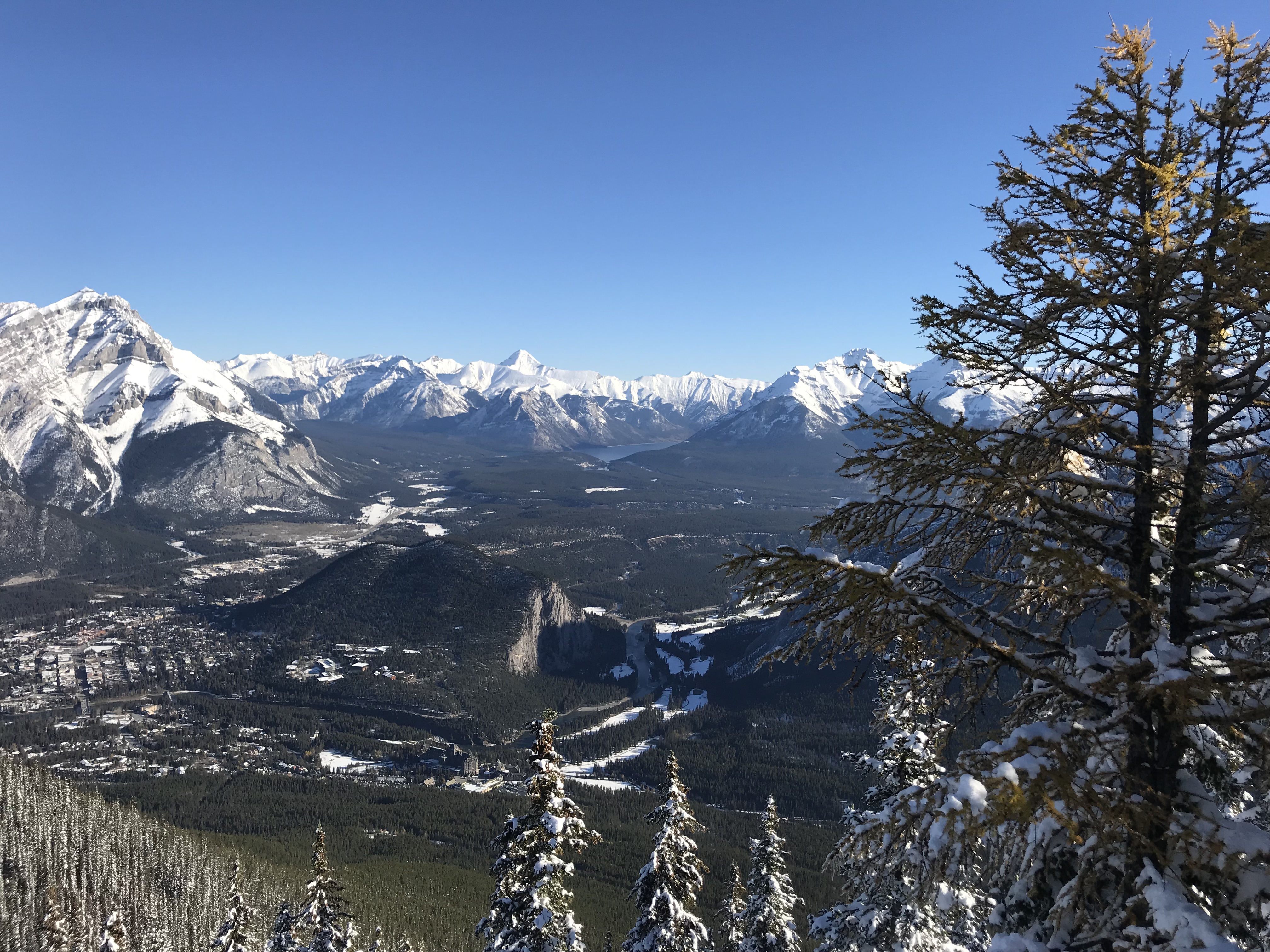 Beautiful Banff View from Sulfur Mountain