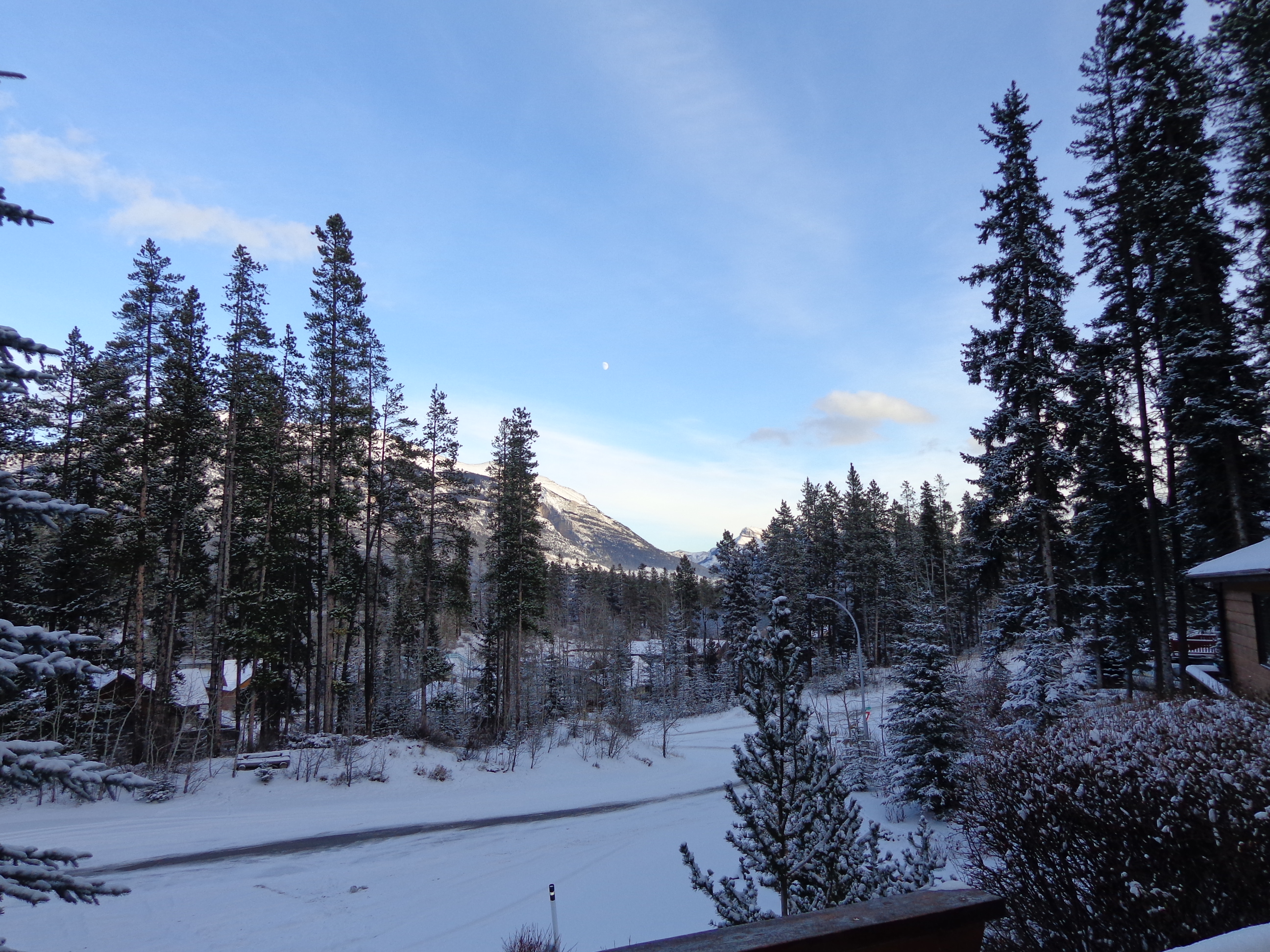 Looking out a sunny winter morning scene in Canmore