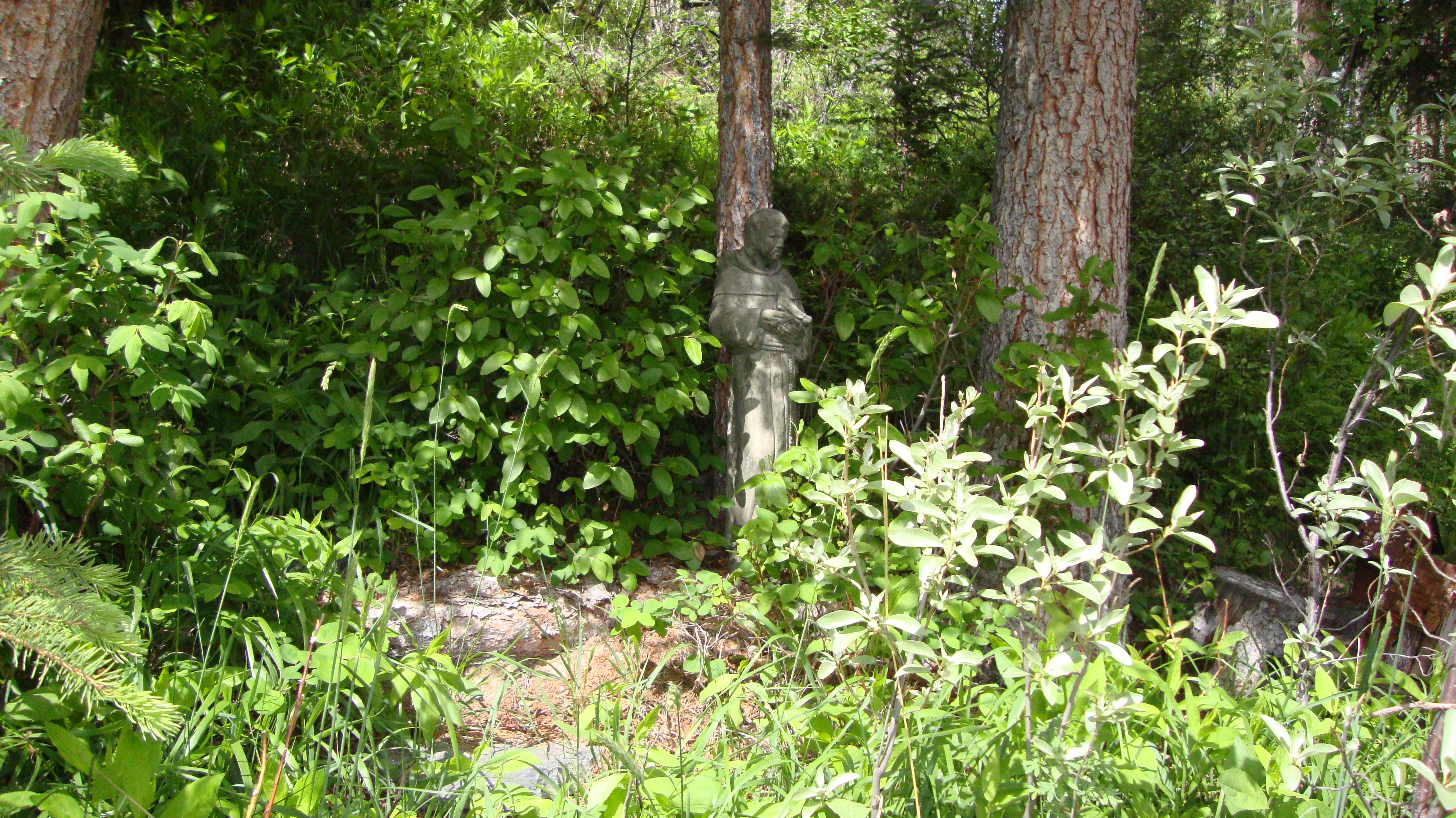 St, Francis watches over the animals that share our Ballyrock property