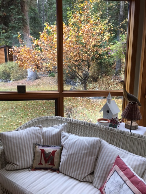 garden view from a quiet nook in the attractive living area of our B&B