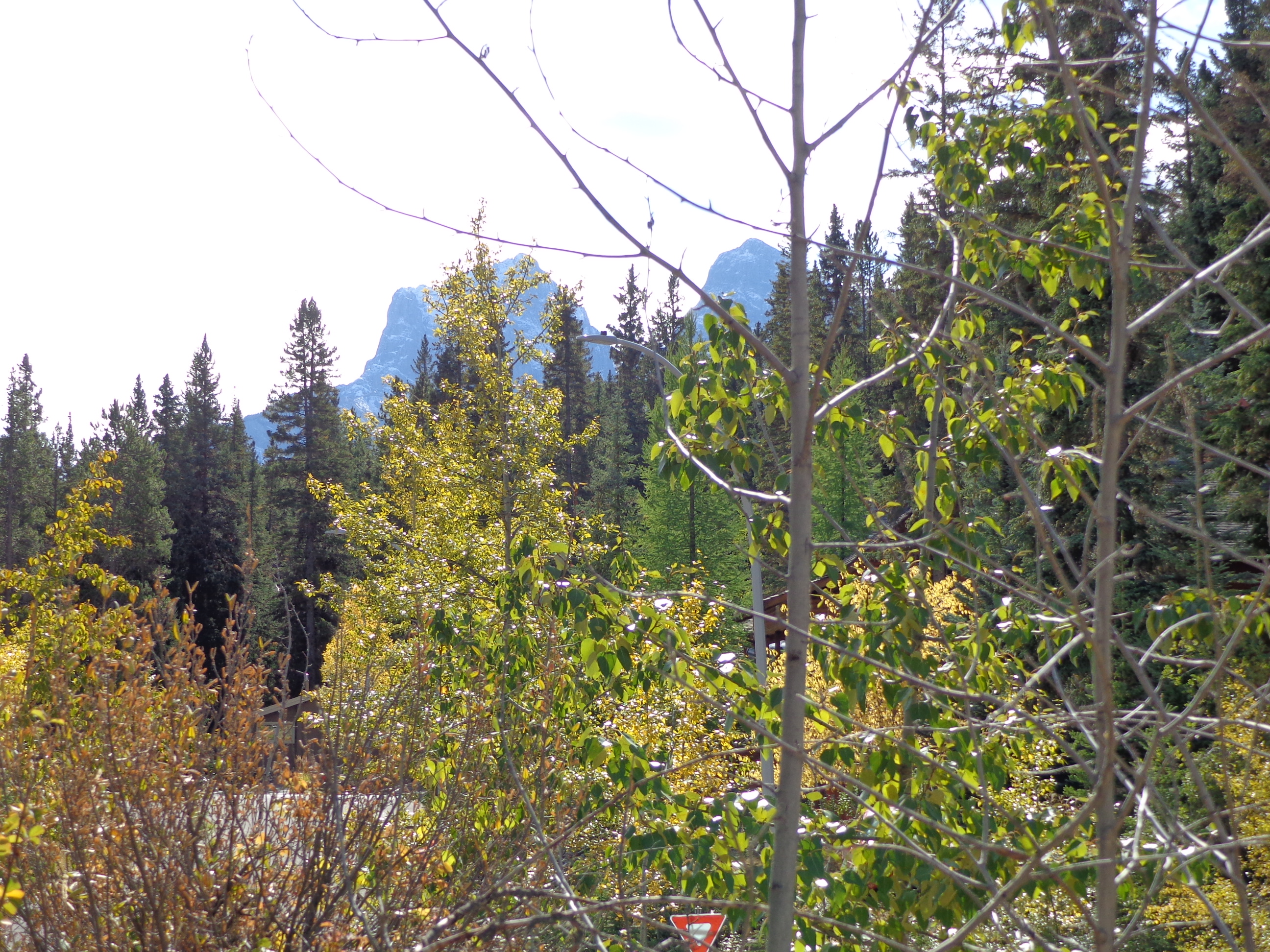 Three Sisters Mountain in view from the neighborhood wine bench