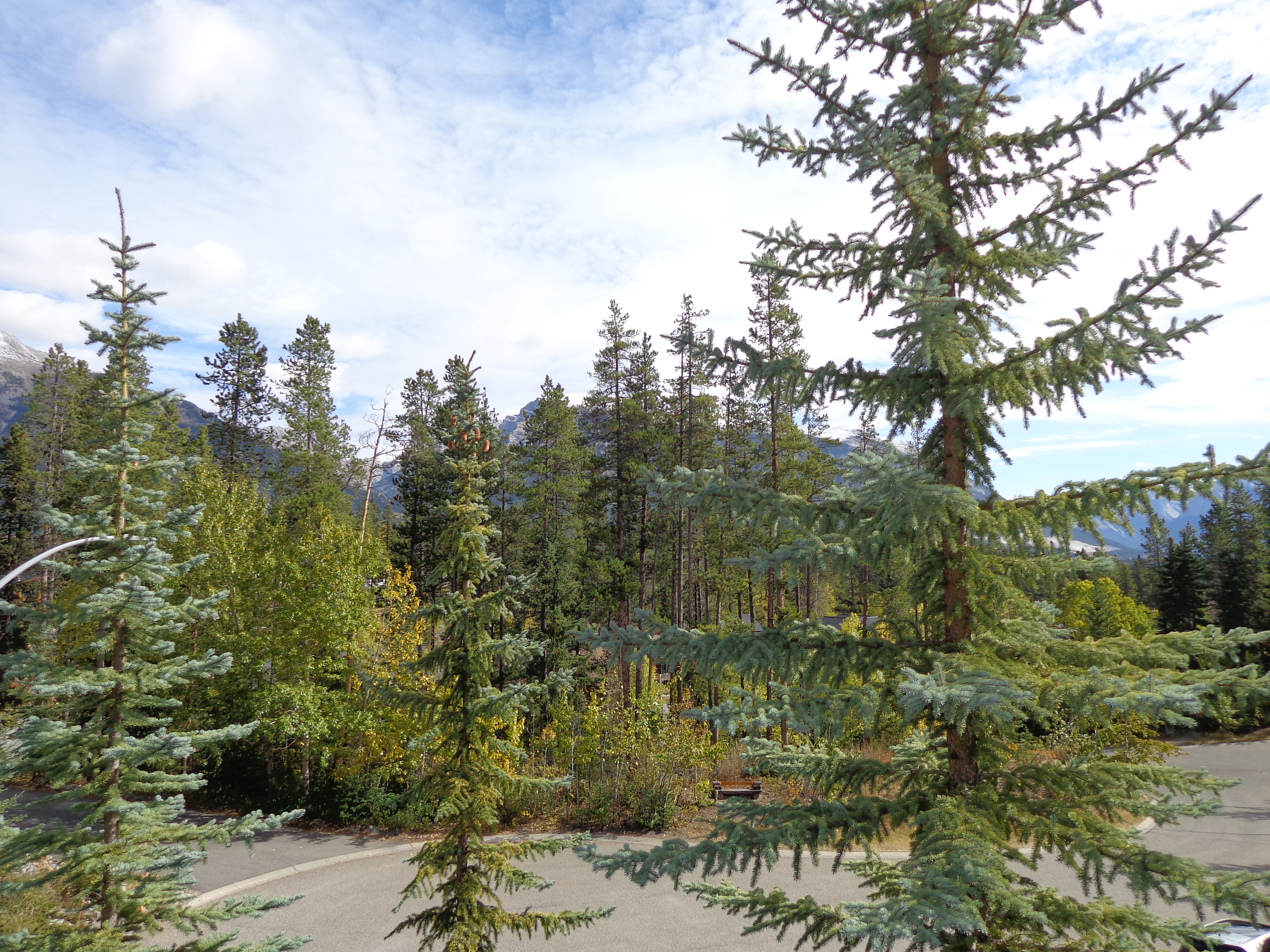 Hike from home when staying at Ballyrock Home