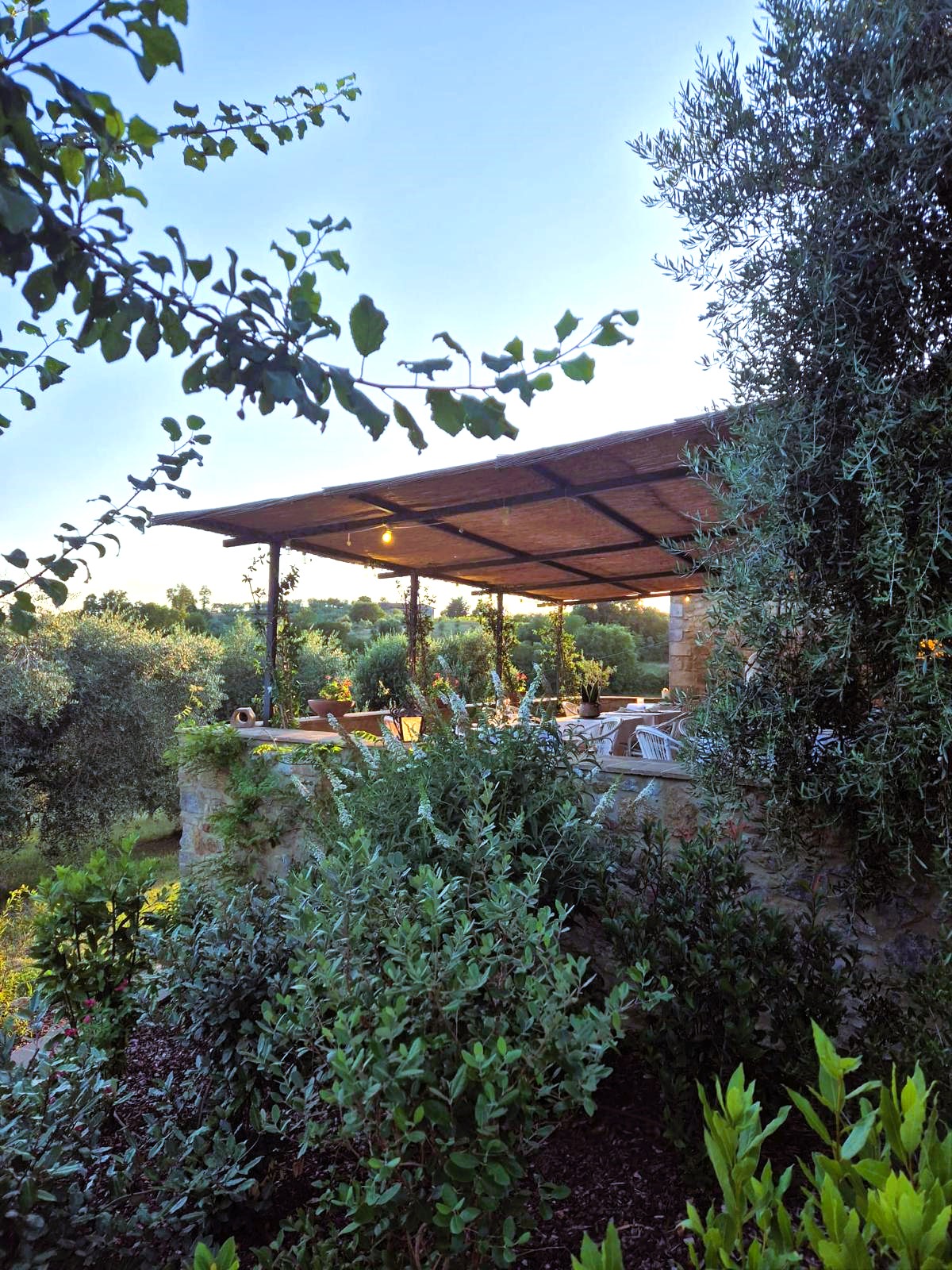 Una cena serale al fresco, tra relax e autenticità al Podere La Paolina