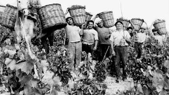 Tradition of wine making