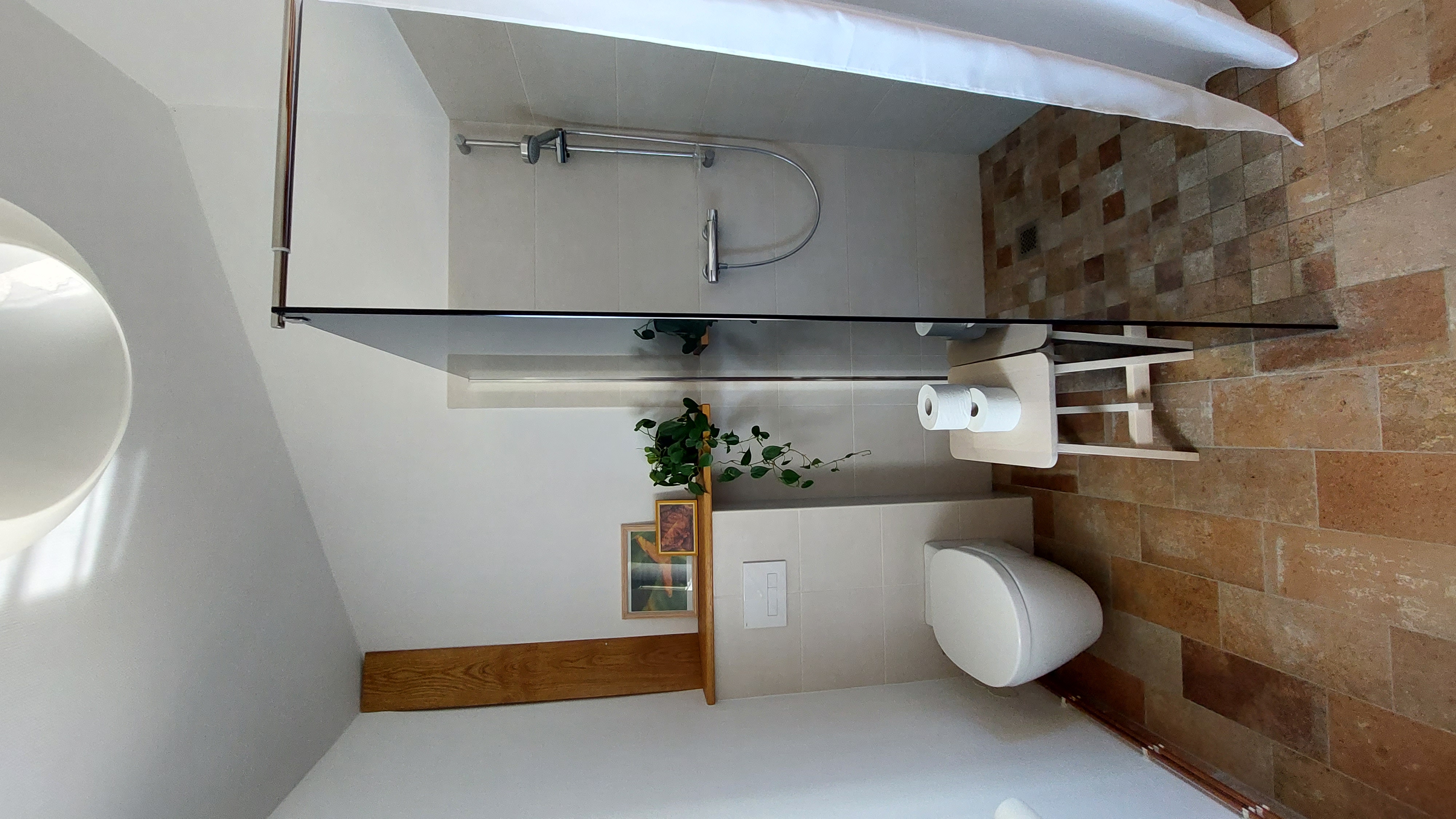 Oak Studio toilet and walk-in shower