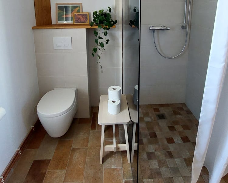 Oak Studio toilet and walk-in shower