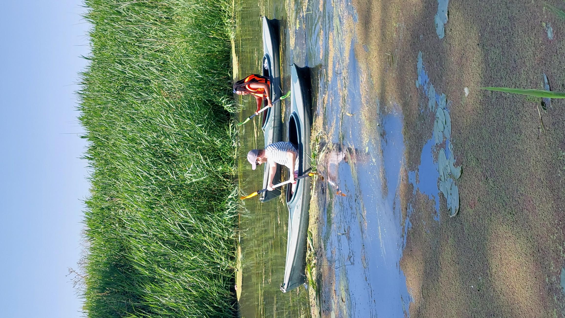 Kayaks for rent with direct river access