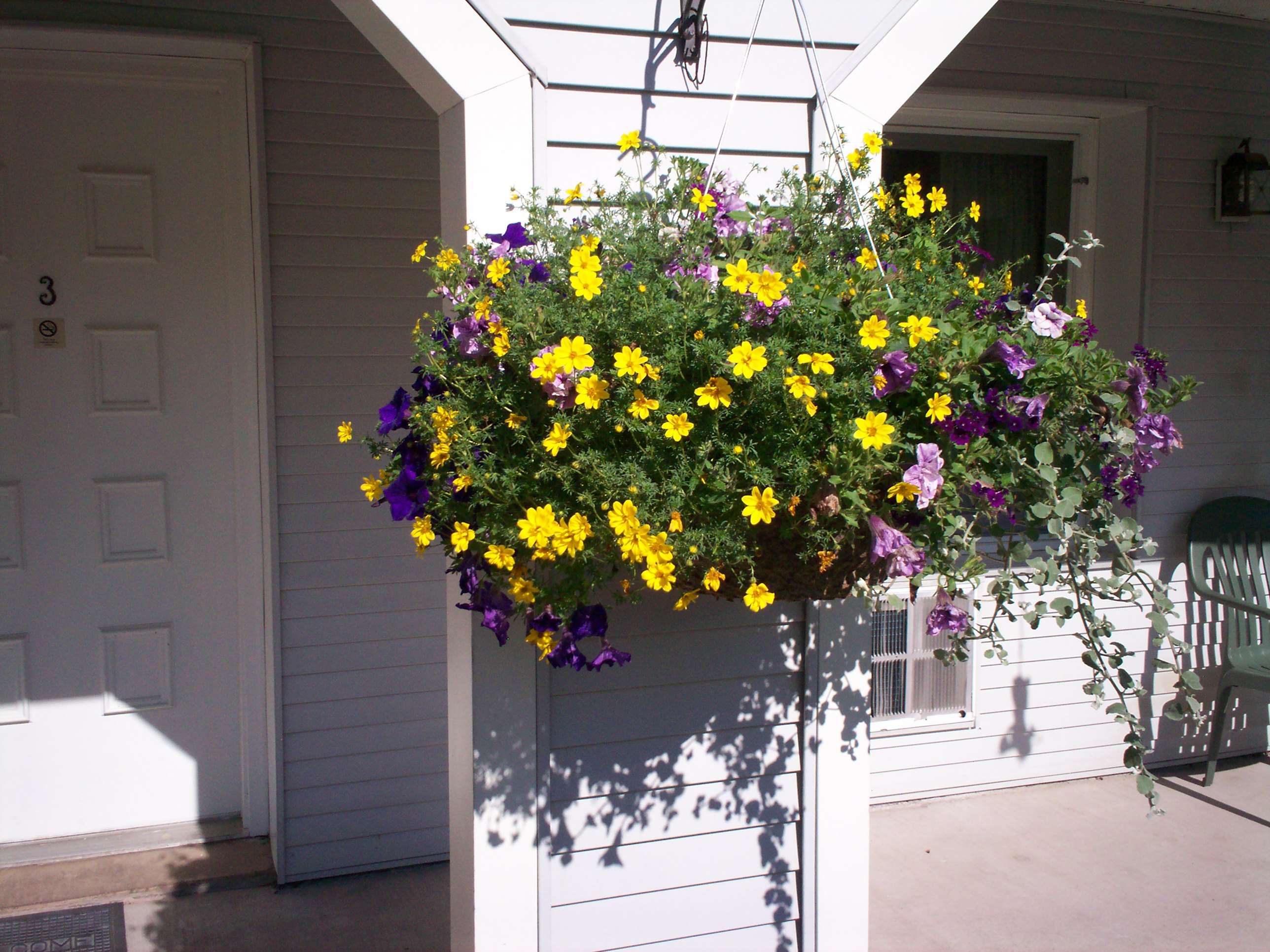 Beautiful flower baskets