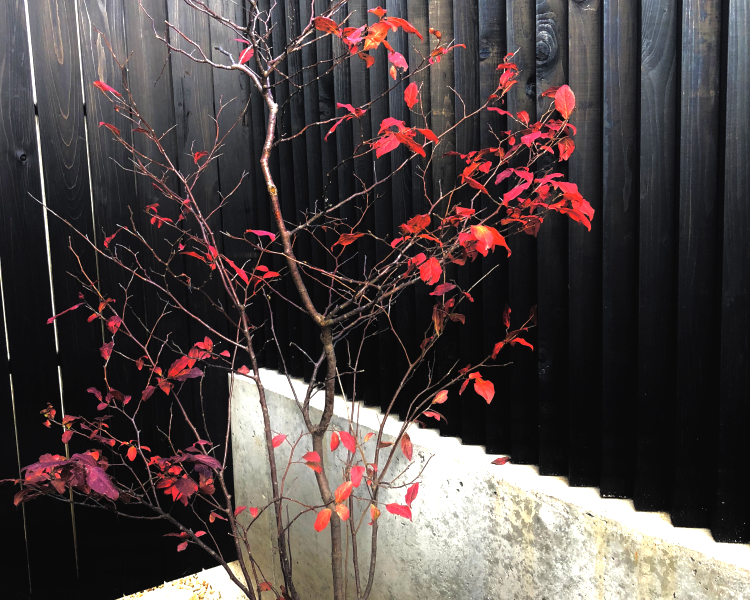 Shimaya Stays Komatsu Residences - 2BR Garden