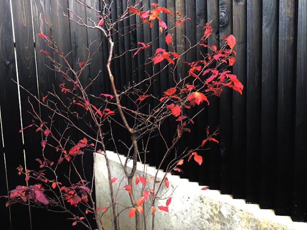 Shimaya Stays Komatsu Residences - 2BR Garden