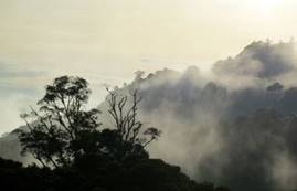 Like a Chinese painting