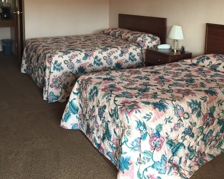 Double room with Twin Bed Three Bears Tok Motel