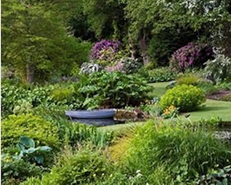 Lush garden and boat on Pond at Beth Chatto's