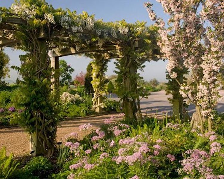 RHS Hyde Hall gardens - View of pergola covered in climbing flowers