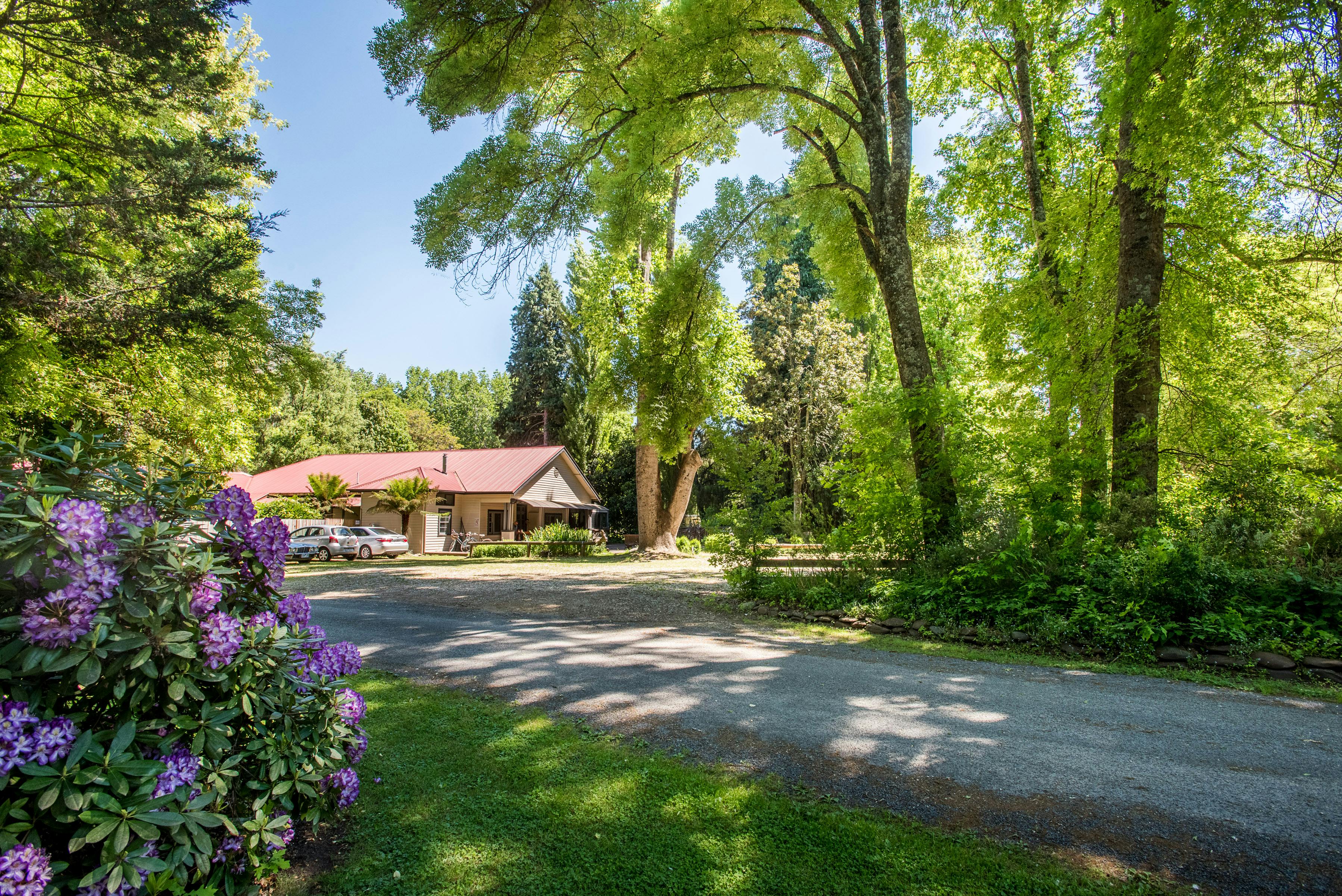 Avalon House Alberta Canada Gallery | Avalon House Harrietville.