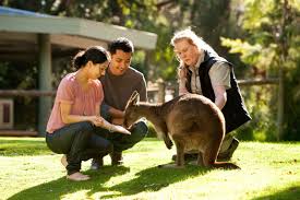 Healesville Sanctuary