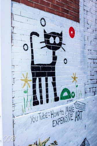 Black cat mural, Fairfield, Il